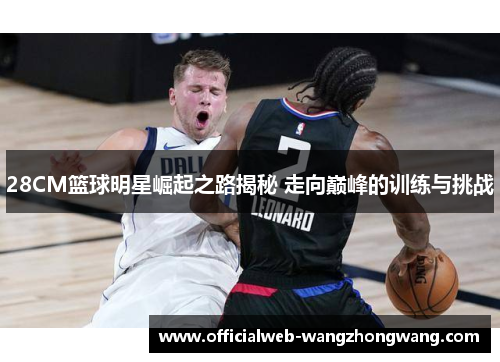 28CM篮球明星崛起之路揭秘 走向巅峰的训练与挑战