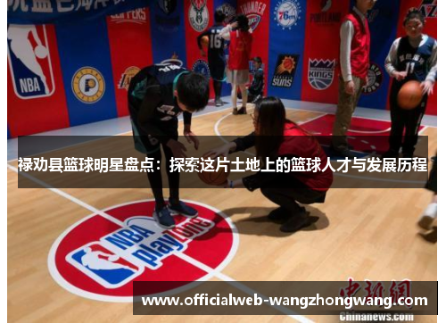 禄劝县篮球明星盘点：探索这片土地上的篮球人才与发展历程