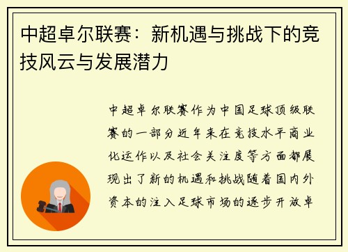 中超卓尔联赛：新机遇与挑战下的竞技风云与发展潜力